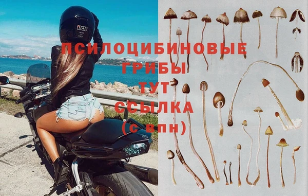 первитин Няндома