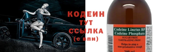 первитин Няндома