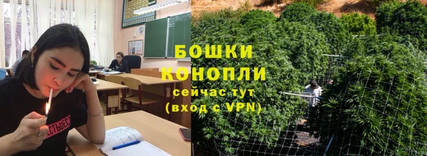 гашик Нягань