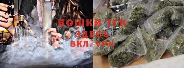 гашик Нягань