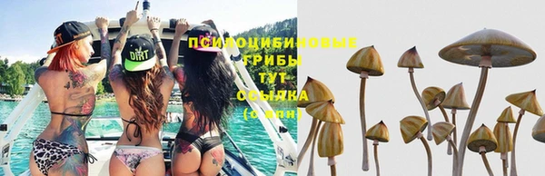 Альфа ПВП Киров