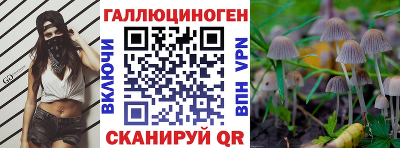 кракен как зайти Белая Холуница Галлюциногенные грибы MAGIC MUSHROOMS